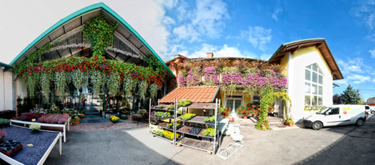 Blumen Fischer in Pirka bei Graz/Seiersberg